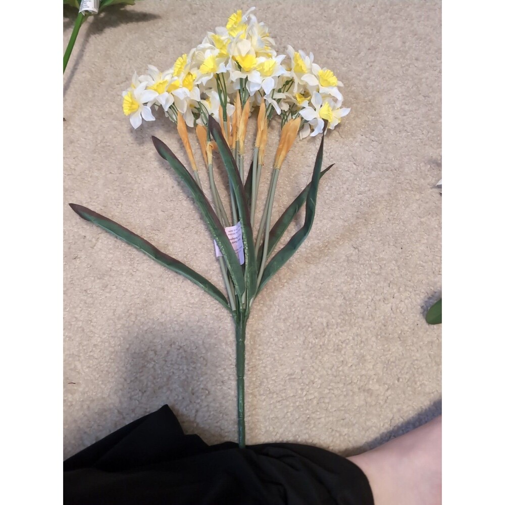 White And Yellow Narcissus Ashland